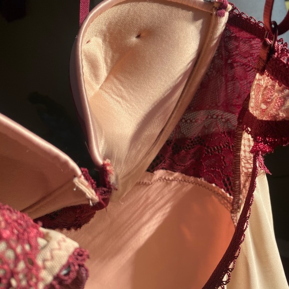 Meghan Fox Collection - Maroon & Pink Teddy - Picture 9 of 11